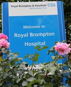 Brompton_sign_flowers.jpg